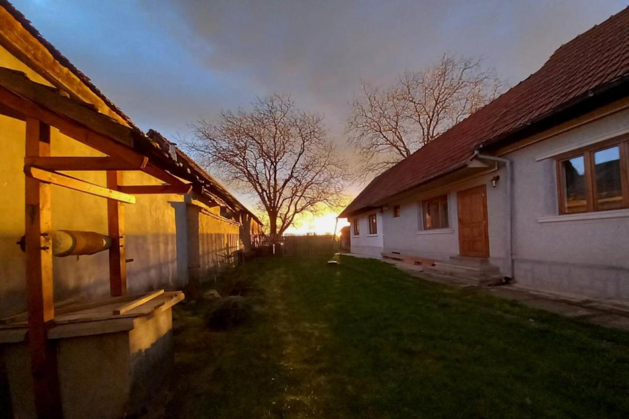 Gasthaus Galeria Turismului Montan Cîrţişoara Exterior foto