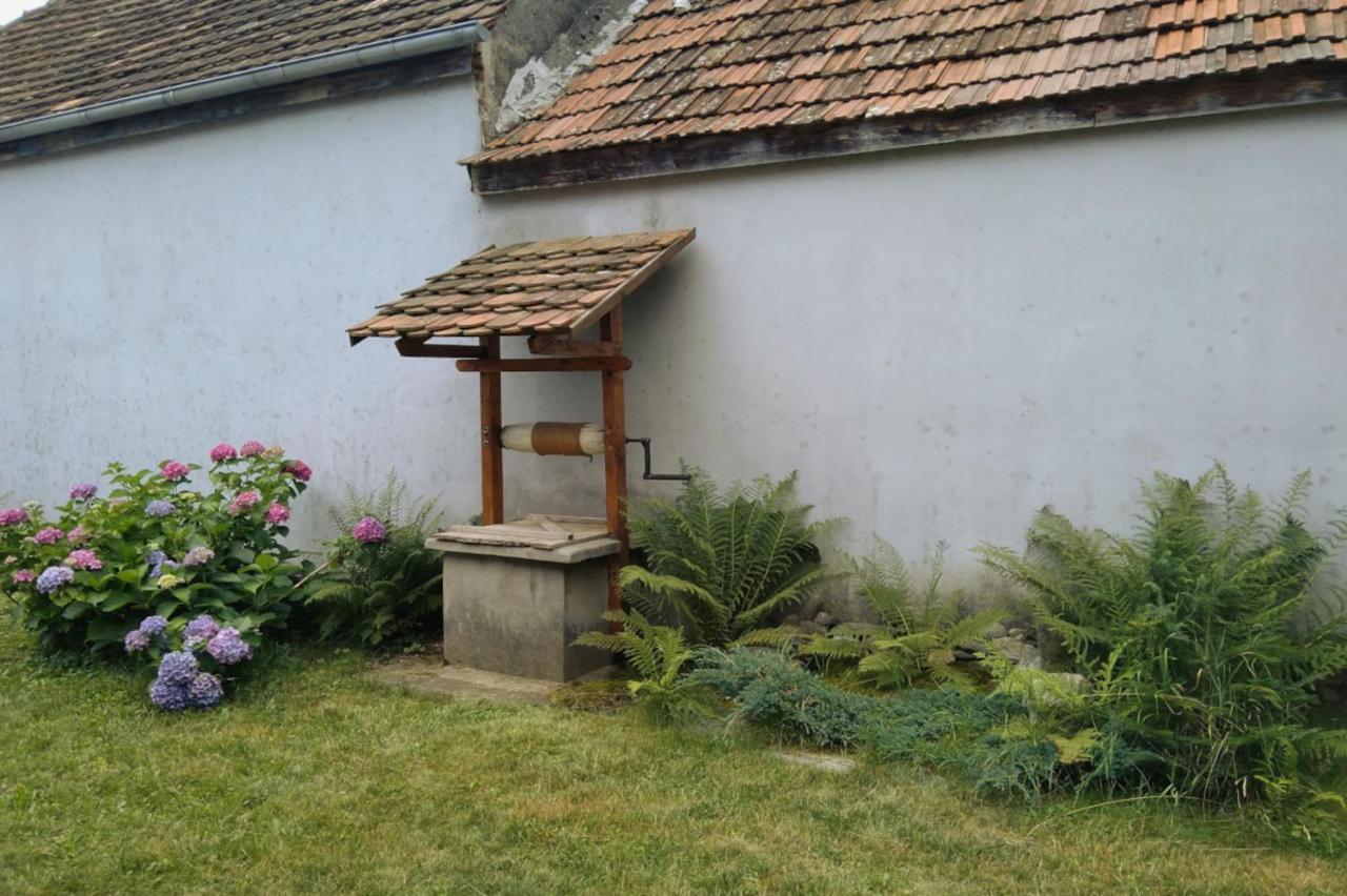 Gasthaus Galeria Turismului Montan Cîrţişoara Exterior foto