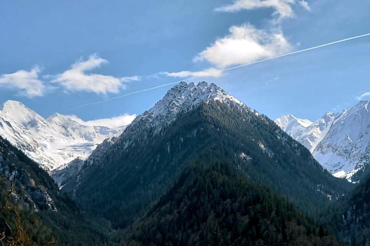 Gasthaus Galeria Turismului Montan Cîrţişoara Exterior foto