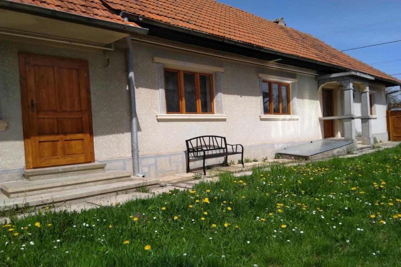 Gasthaus Galeria Turismului Montan Cîrţişoara Exterior foto