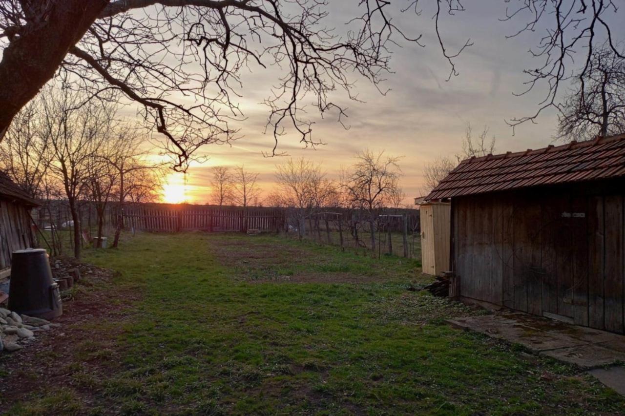 Gasthaus Galeria Turismului Montan Cîrţişoara Exterior foto