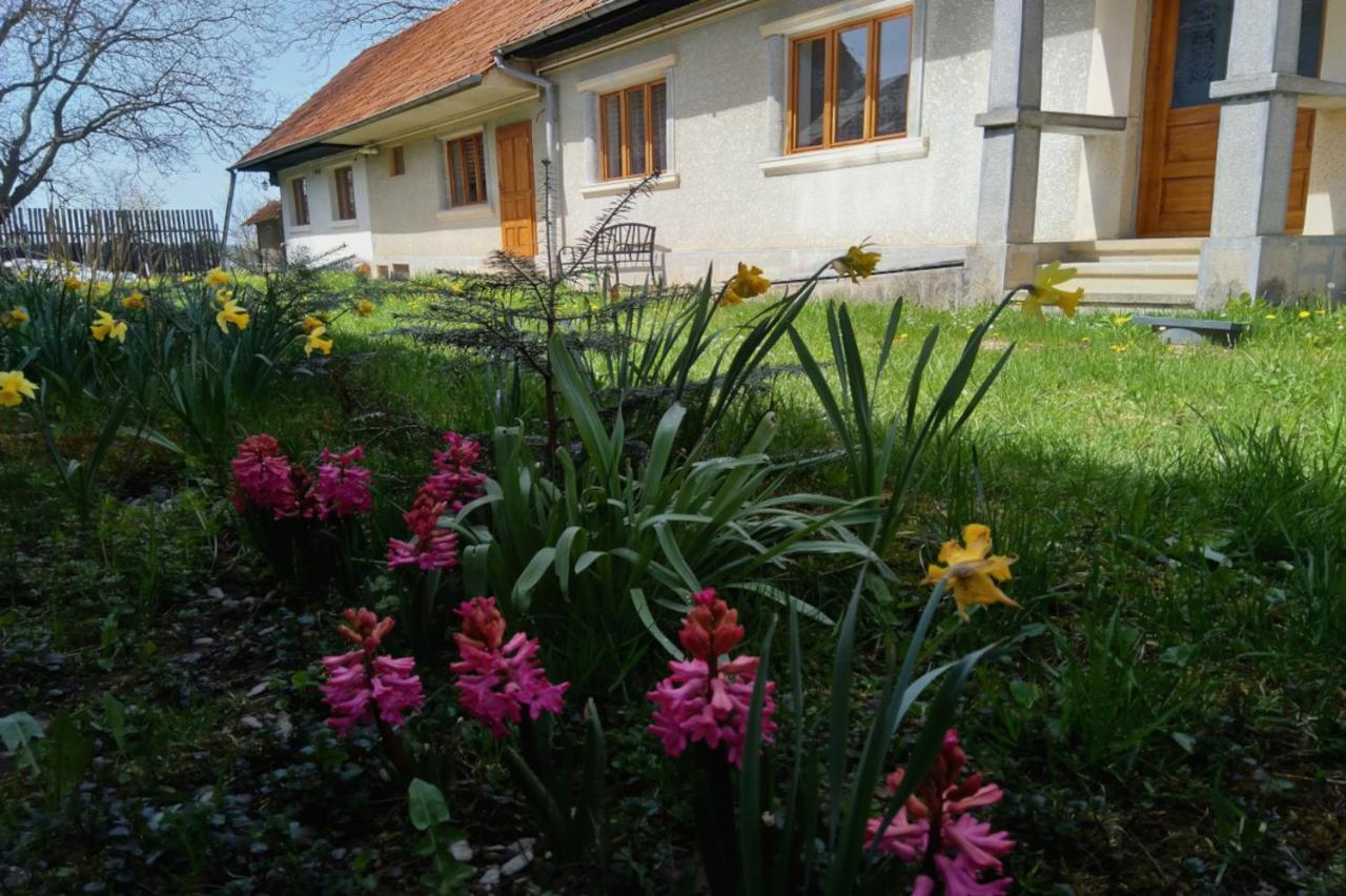 Gasthaus Galeria Turismului Montan Cîrţişoara Exterior foto