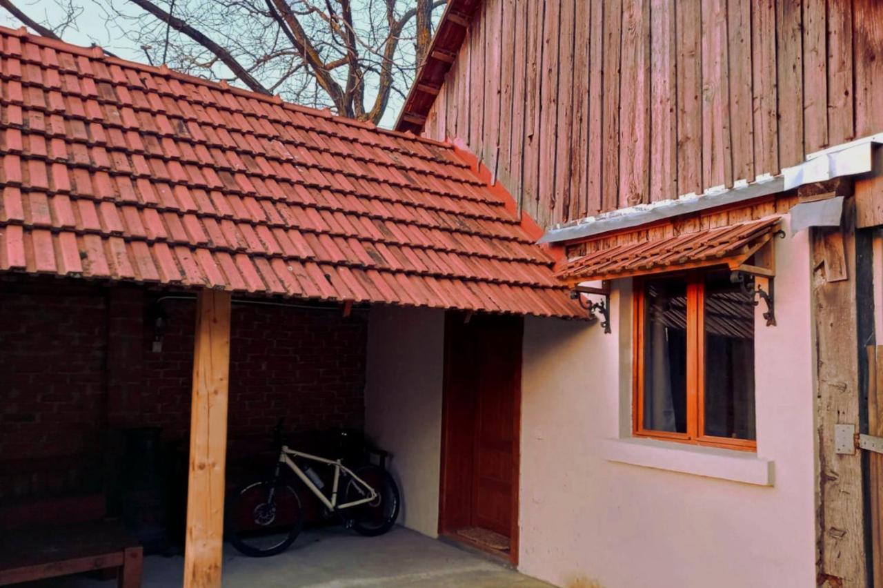 Gasthaus Galeria Turismului Montan Cîrţişoara Exterior foto