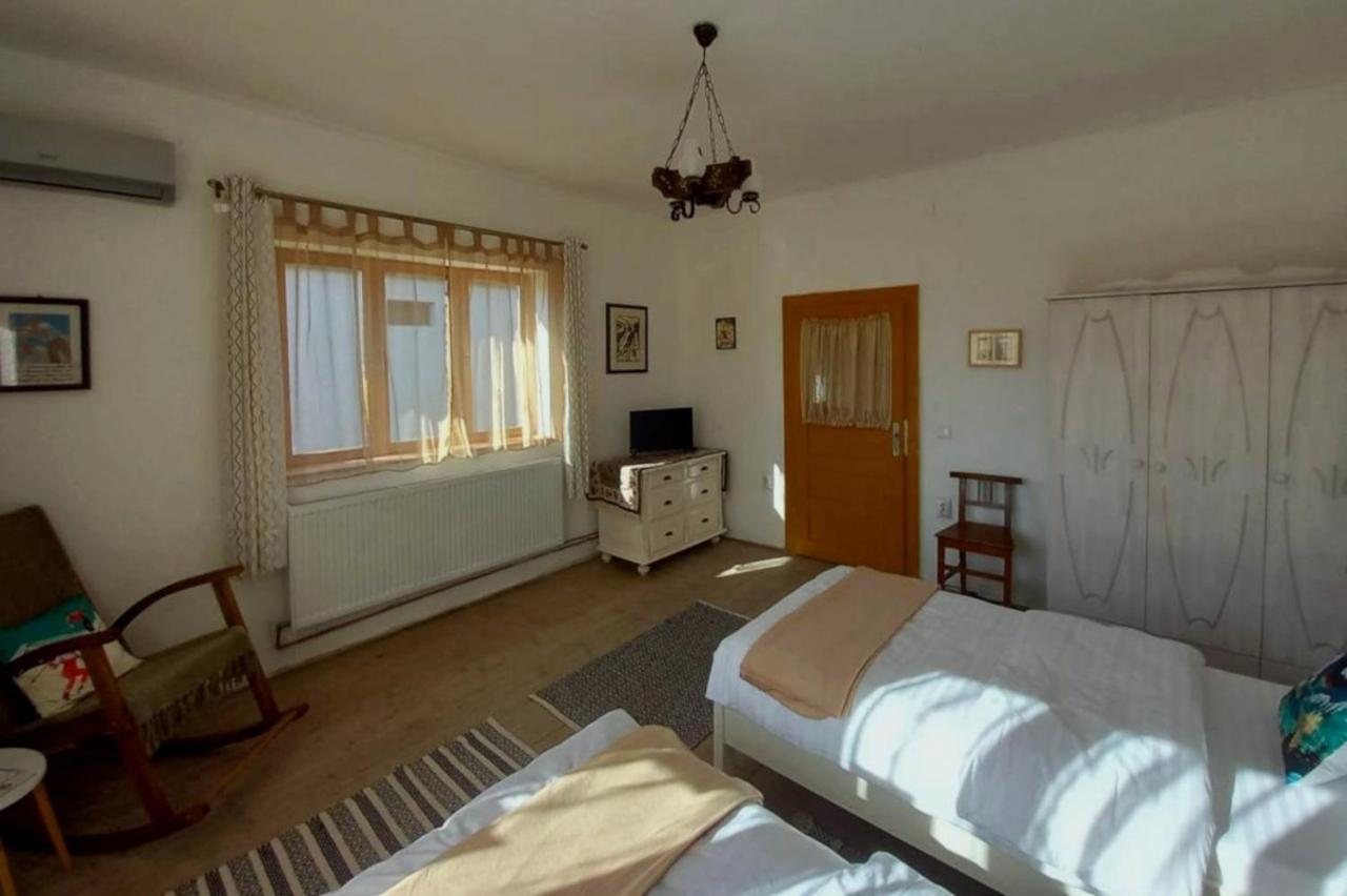 Gasthaus Galeria Turismului Montan Cîrţişoara Exterior foto